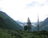 IMG_1125