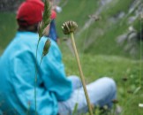 IMG_1137