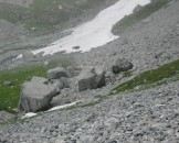 IMG_1157