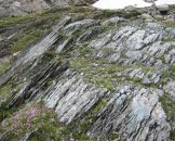 IMG_1170