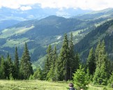 IMG_1205