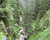 IMG_1208