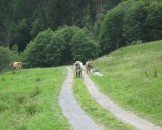 IMG_1213