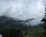 IMG_1220
