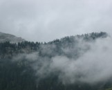 IMG_1221