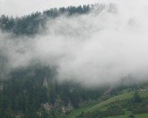 IMG_1222