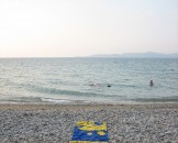 IMG_1301