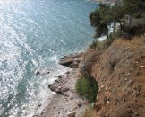 IMG_1321