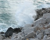 IMG_1343