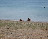 IMG_1366