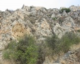 IMG_1373