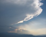 IMG_1381
