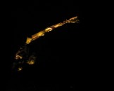 IMG_1396