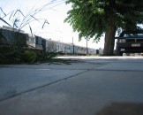 IMG_1400