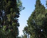 IMG_1472
