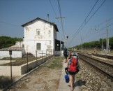 IMG_1509