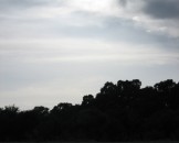 IMG_1545