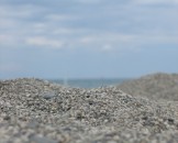 IMG_1552