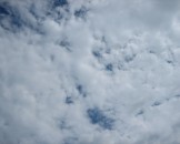 IMG_1554