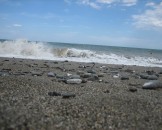 IMG_1571