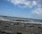 IMG_1572