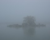 IMG_1908
