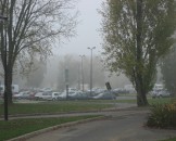 IMG_1930
