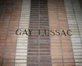 IMG_1933
