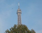 IMG_2071