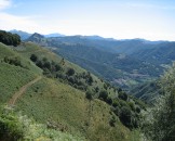 IMG_2368