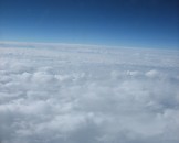 IMG_2529