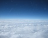 IMG_2530