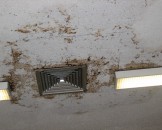 IMG_2628