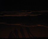 IMG_2691