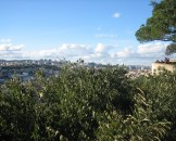IMG_2739