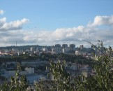 IMG_2740
