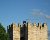 IMG_2773