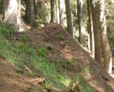 IMG_3250