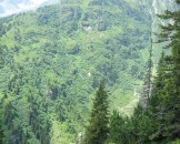 IMG_3258