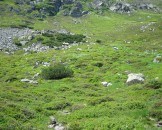 IMG_3264