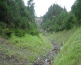 IMG_3305