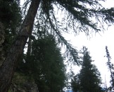 IMG_3311