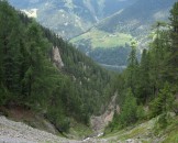 IMG_3316