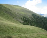 IMG_3318