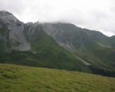 IMG_3335