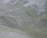 IMG_3339