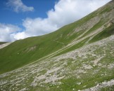 IMG_3344