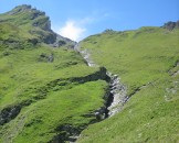 IMG_3441