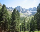 IMG_3447