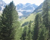 IMG_3449